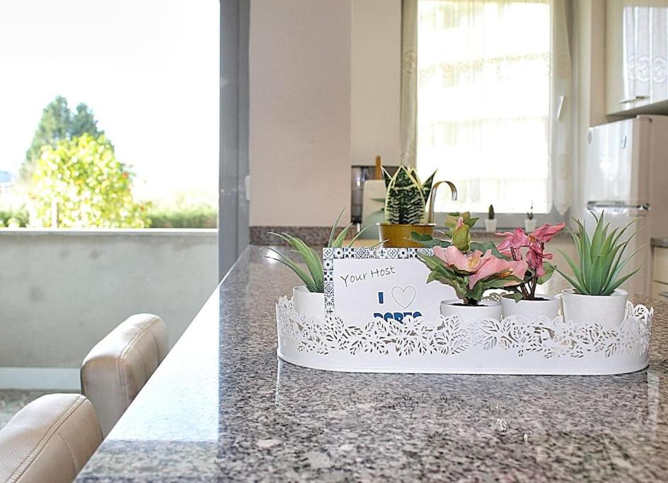 Arrabida Luxury Studio บีลาโนวาเดกายา ภายนอก รูปภาพ